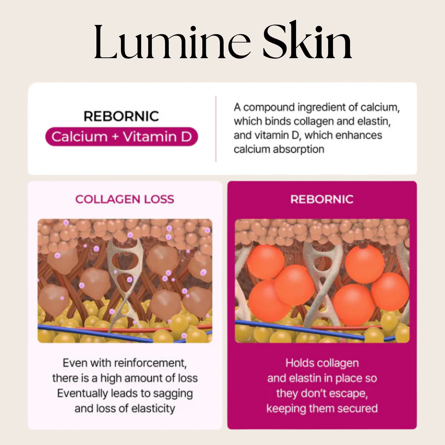 Complete Calcium Intense Set