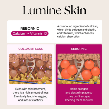 Complete Calcium Intense Set